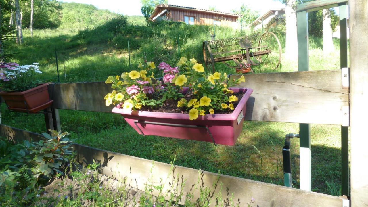 Gite La Lanterne Transition Ecologique Avec Borne De Recharge 7Kw Site Sous Video Protection Nalzen Buitenkant foto