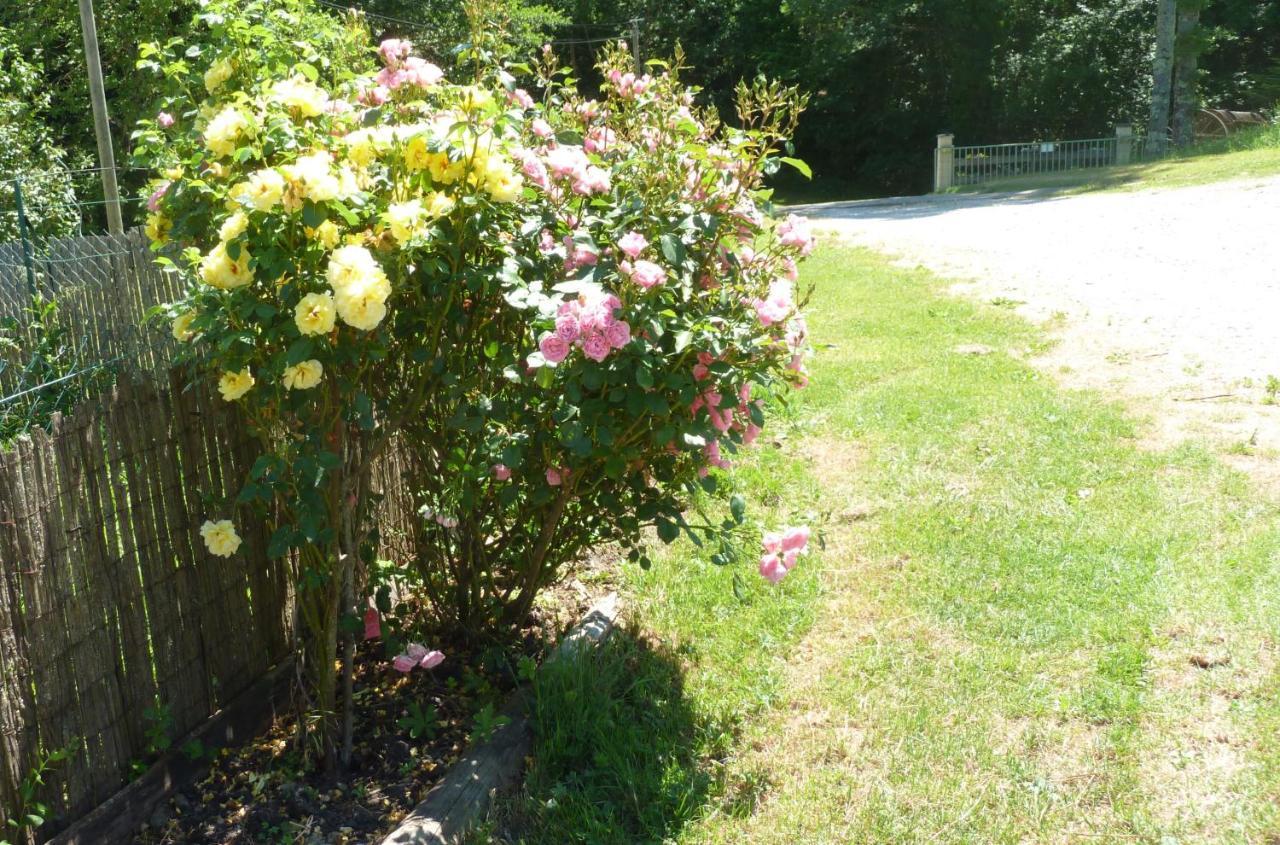 Gite La Lanterne Transition Ecologique Avec Borne De Recharge 7Kw Site Sous Video Protection Nalzen Buitenkant foto