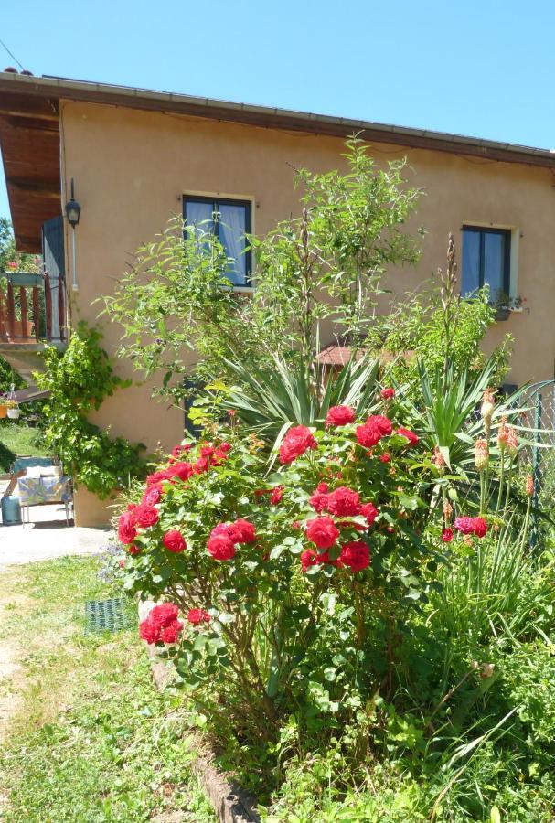 Gite La Lanterne Transition Ecologique Avec Borne De Recharge 7Kw Site Sous Video Protection Nalzen Buitenkant foto